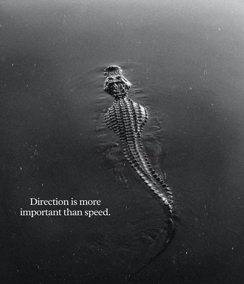 Millionaire Framework | Automated Cashflow (@milli0nairepath) on Twitter photo 