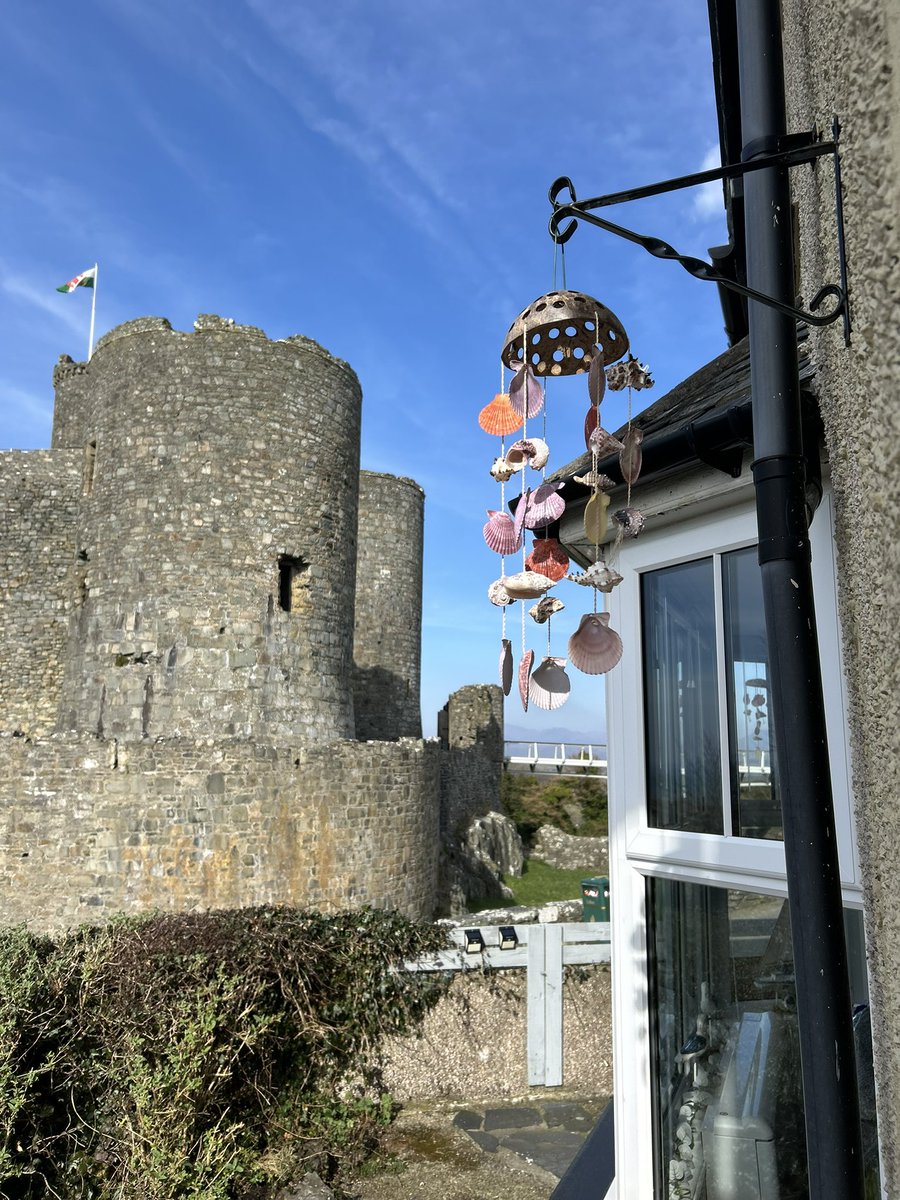 Miss Fizzy tweet media