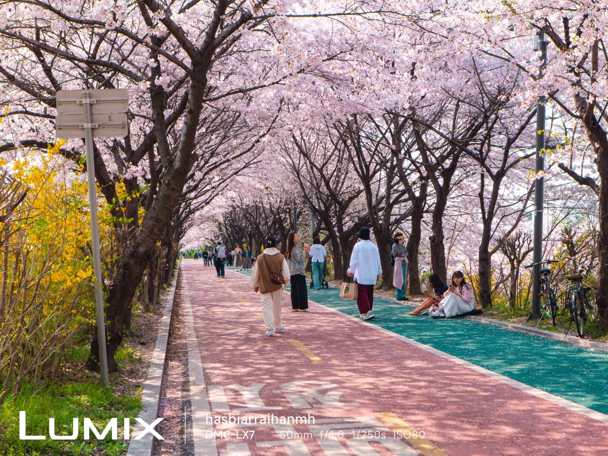 hasbeenrh's tweet photo. @tanyarlfes Lumix LX-7 https://t.co/AuqtT1Yoxr