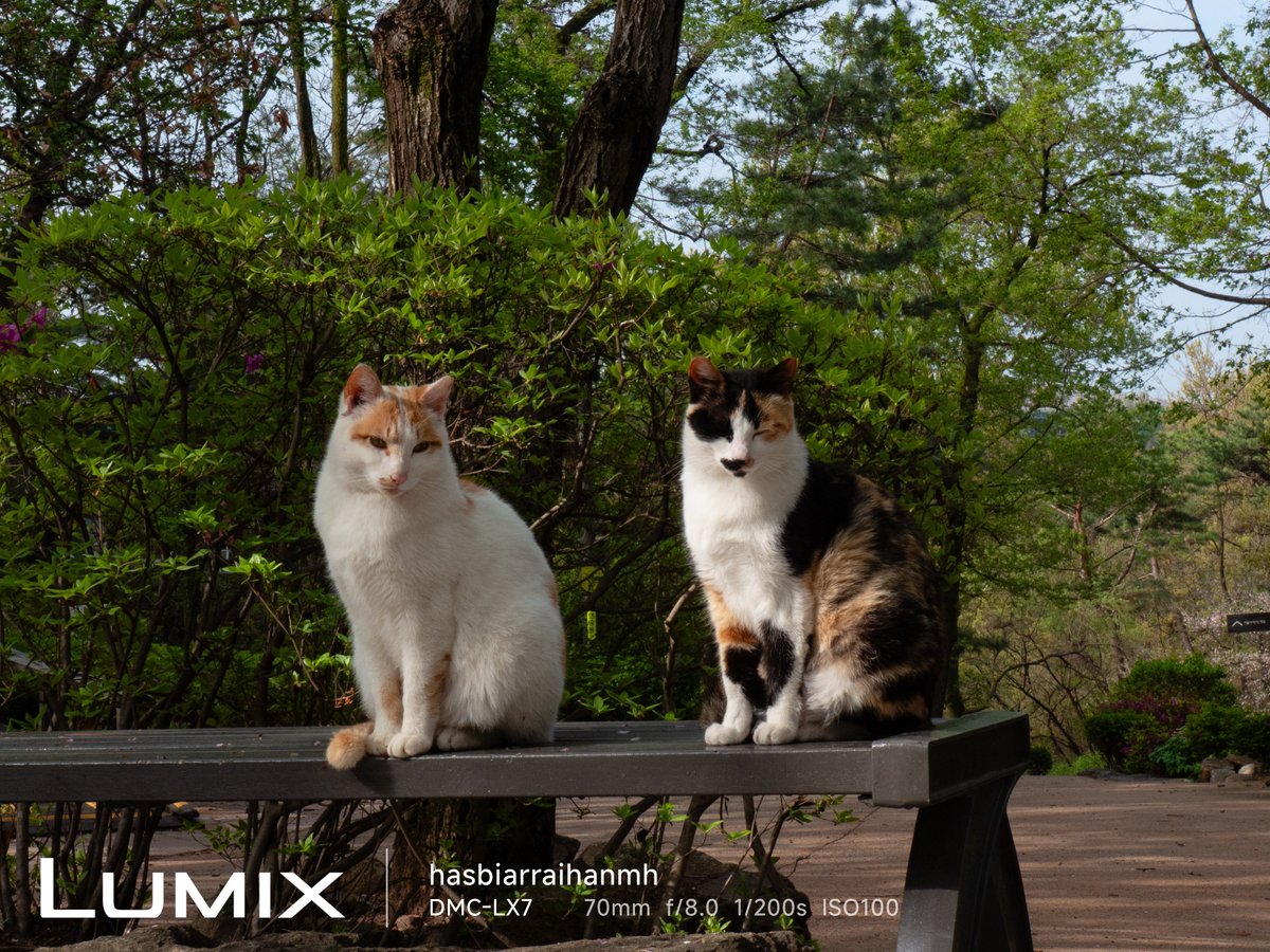 hasbeenrh's tweet photo. @tanyarlfes Lumix LX-7 https://t.co/AuqtT1Yoxr