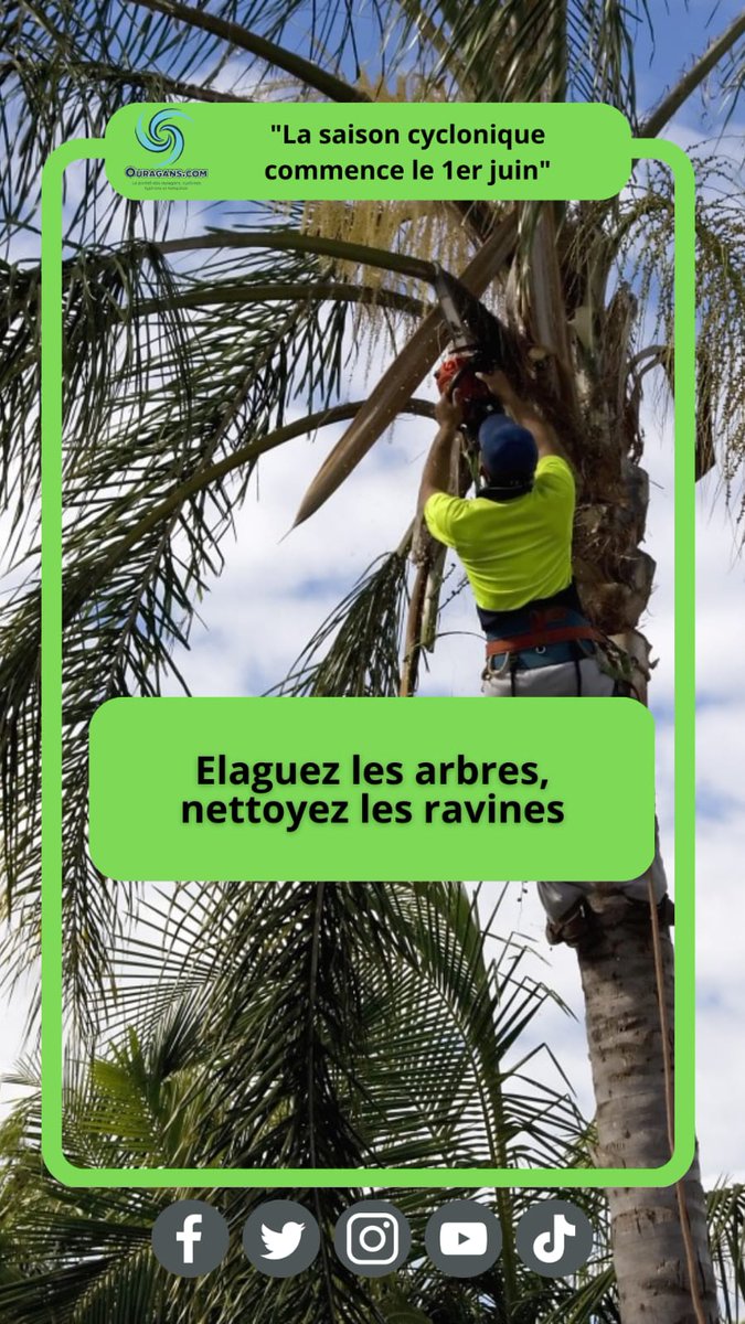 ouragans's tweet photo. Bien avant le début de la saison, faites élaguer vos arbres, si possible par un professionnel. De même, si une ravine borde ou traverse le terrain où vous habitez, faites la nettoyer. Ceci est de votre responsabilité.

La saison cyclonique débute le 1er juin 
#préparezvous https://t.co/VI6K2DdzWE