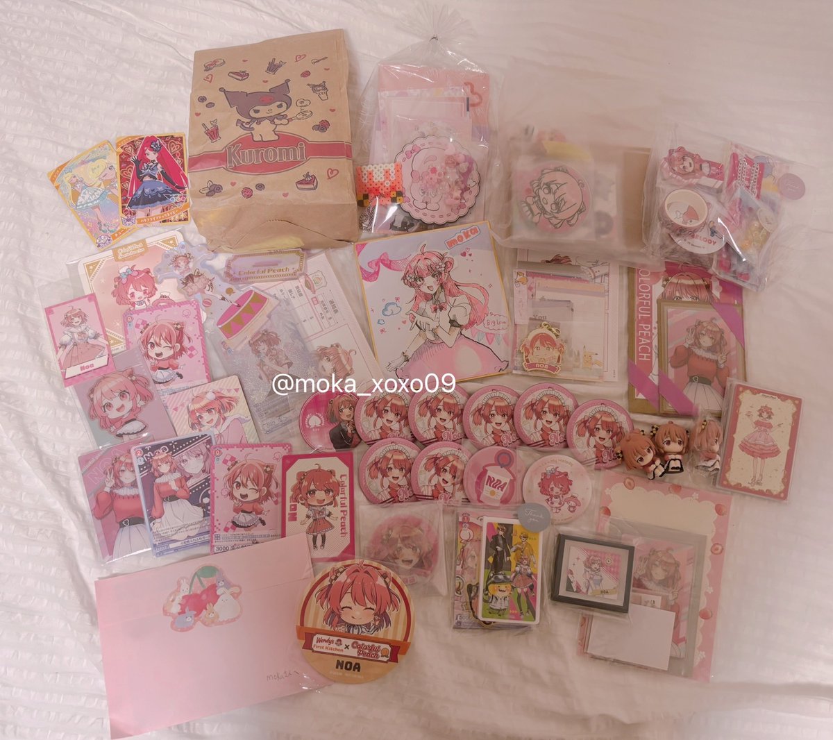 今日の戦利品🥹🥹💗 のあちゃんたくさんではぴはぴ߹-߹♡ᵎᵎᵎ