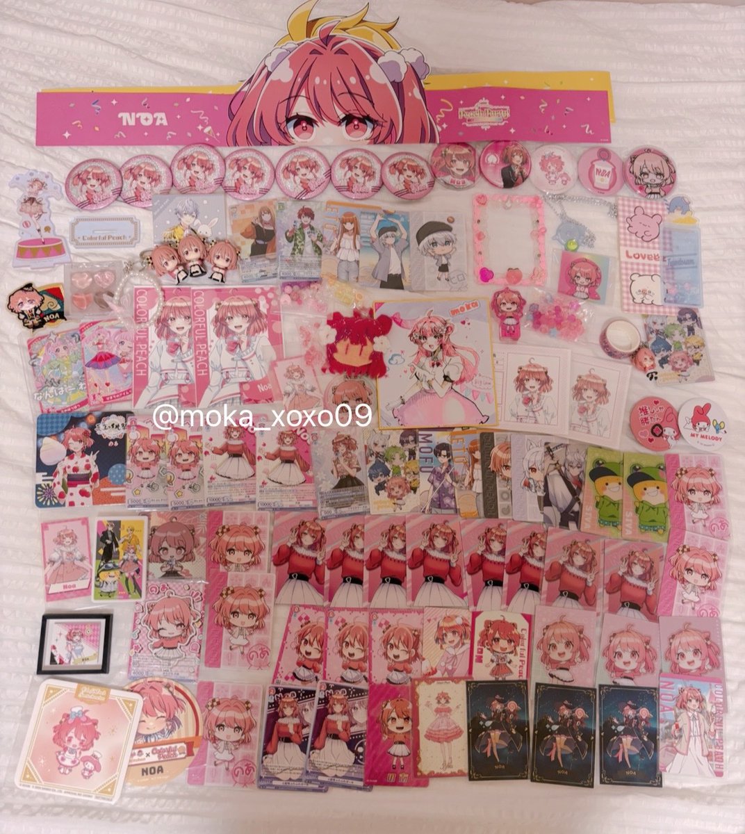 今日の戦利品🥹🥹💗 のあちゃんたくさんではぴはぴ߹-߹♡ᵎᵎᵎ