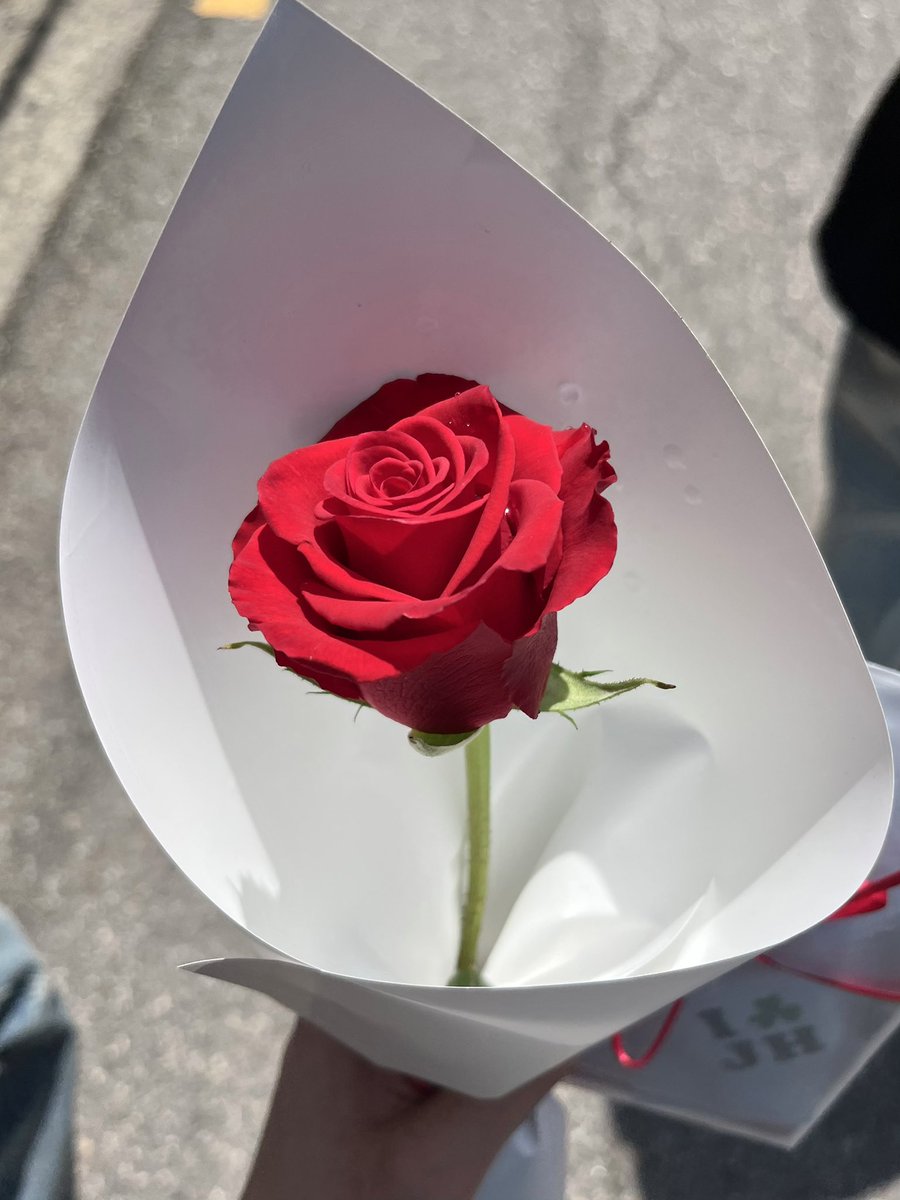 choibuddle's tweet photo. 5월의 주녀기가 생각나는 장미🌹☘️
예쁜 공간과 꽃 감사합니다 ♡
#서로라면충분하니까
#heartsaligned https://t.co/9HEchIoz6u