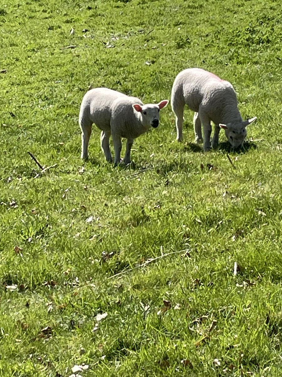 Happy Easter everyone!