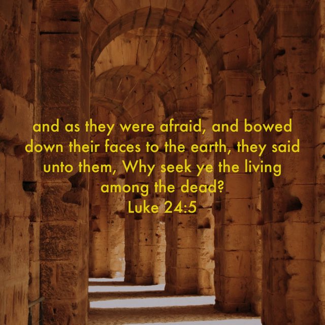 “Why are you looking for the living One among the dead? He is not here, but has risen….
Luke 24:5-6 AMP