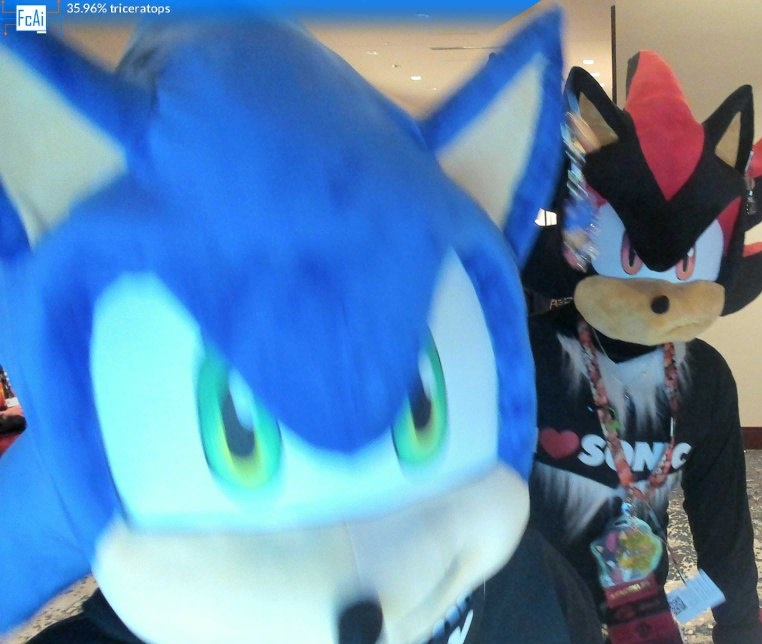 Triceratops 

#sonadow