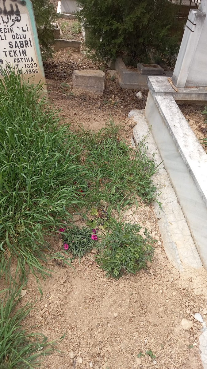 Karakter yoksunu insanlarsınız.Mezarlıkta kabirden çiçek çalma nedir Kardeşim.Hiç mi vicdanınız yok sizin