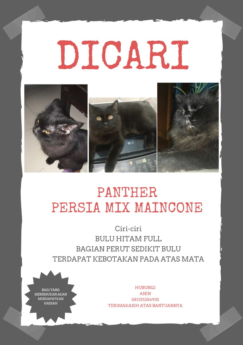 devirardelia's tweet photo. Twitter please do your magic ✨

DICARI KUCING HILANG

Baru hilang pagi hari ini (20 april 2025)

-kucing hitam full
-ras persia mix mainecone
-📍lokasi : duta bintaro, tangsel

#kucinghilang #dicari #kucing https://t.co/hoZhgYasde