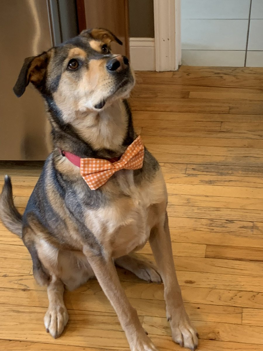 Decked out in his Easter finest.