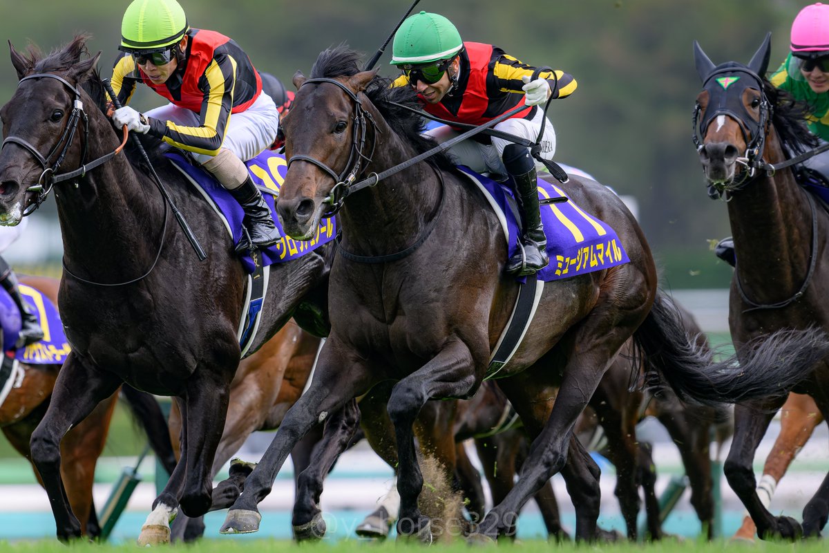 マ*シ様 2026年 皐月賞 ミュージアムマイル号 ポスター 4枚セット まとめ Mitsuo Kawashima | #ミュージアムマイル #ミュージアムマイル号 #2025