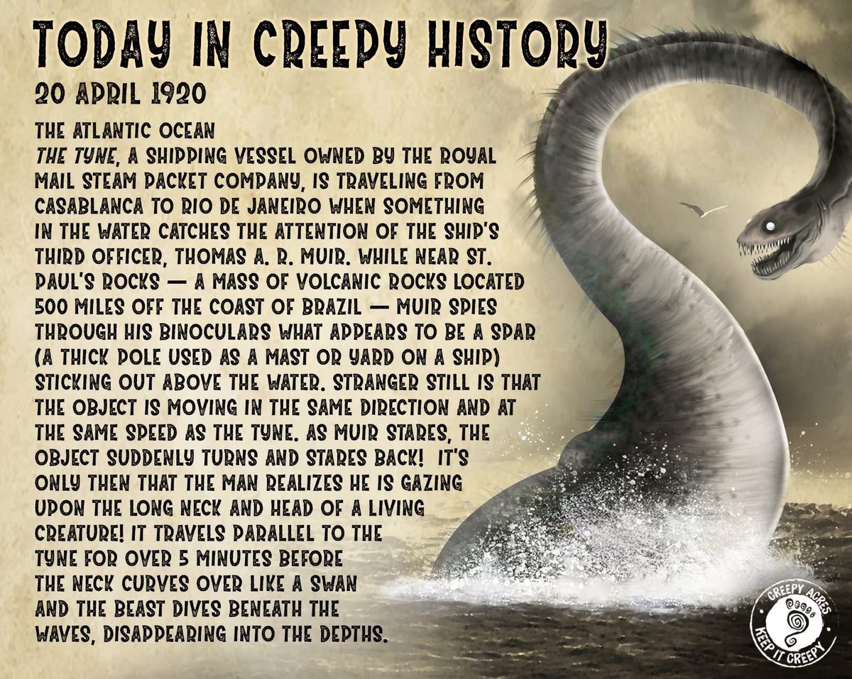 Creepy Acres tweet media