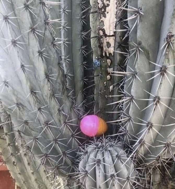 Men's Humor tweet media