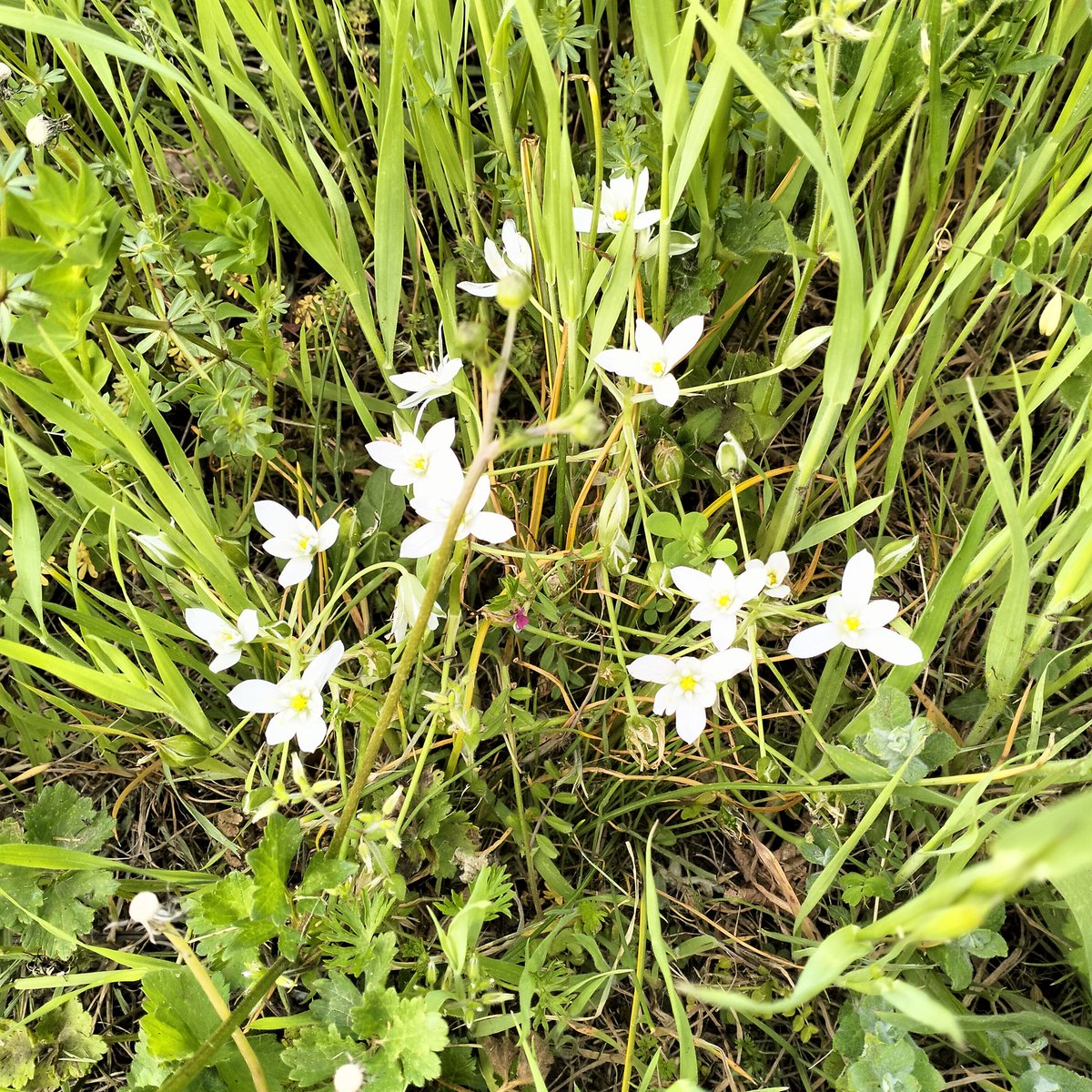 Pasquale Valente (@pvalente) on Twitter photo 