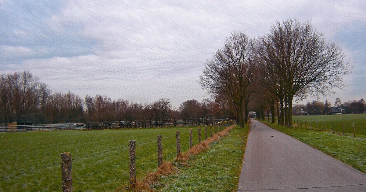 Uitgelicht enkele foto's door mij genomen op 13 december 2010 in Maartensdijk (oorspronkelijk Oostveen genoemd) een Utrechts dorp ontstaan omstreeks 1357 nabij het kasteel  van "Overbordene" langs een ontginningsdijk in het veengebied ten oosten van de Vecht.