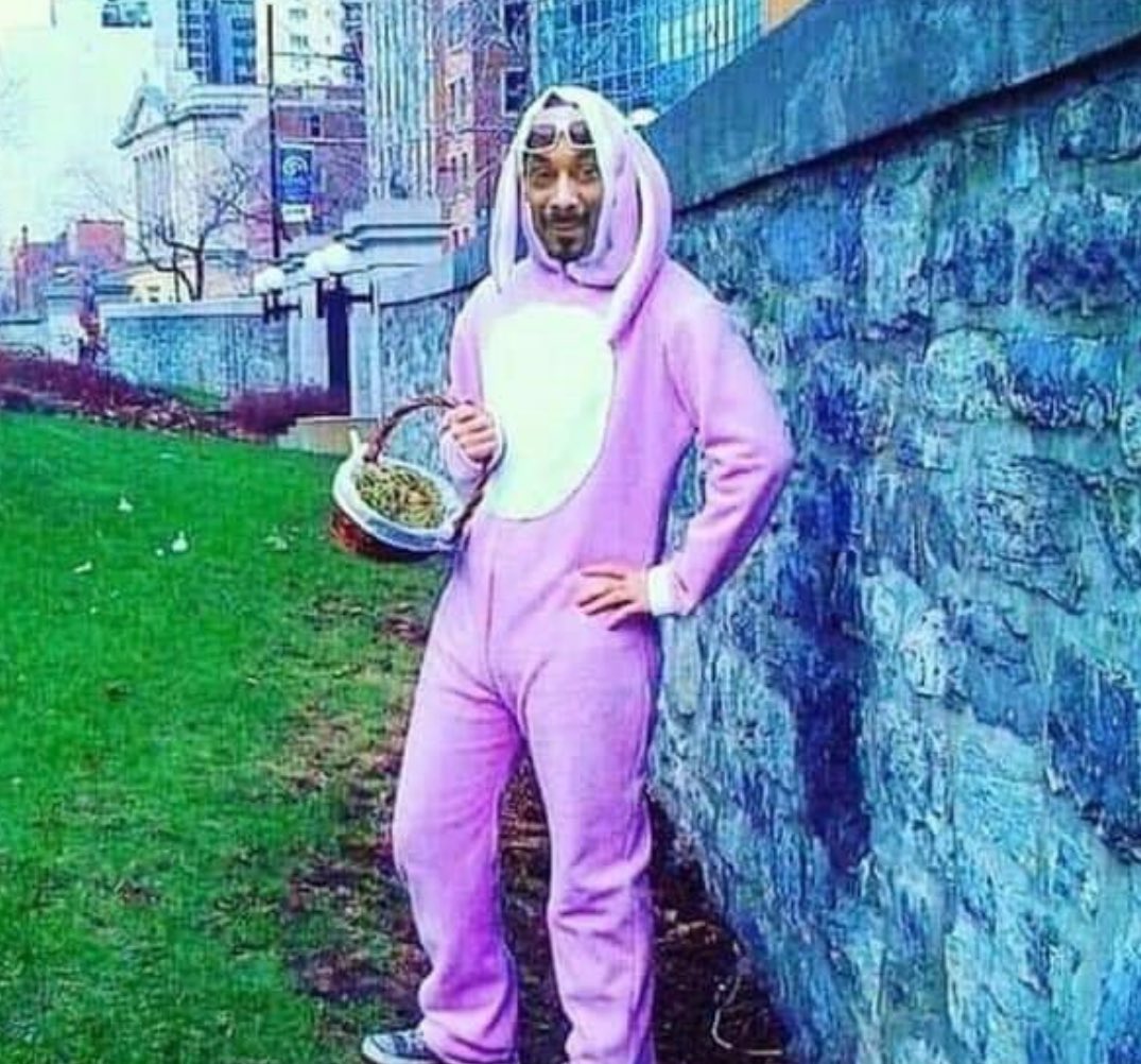 Men's Humor tweet media