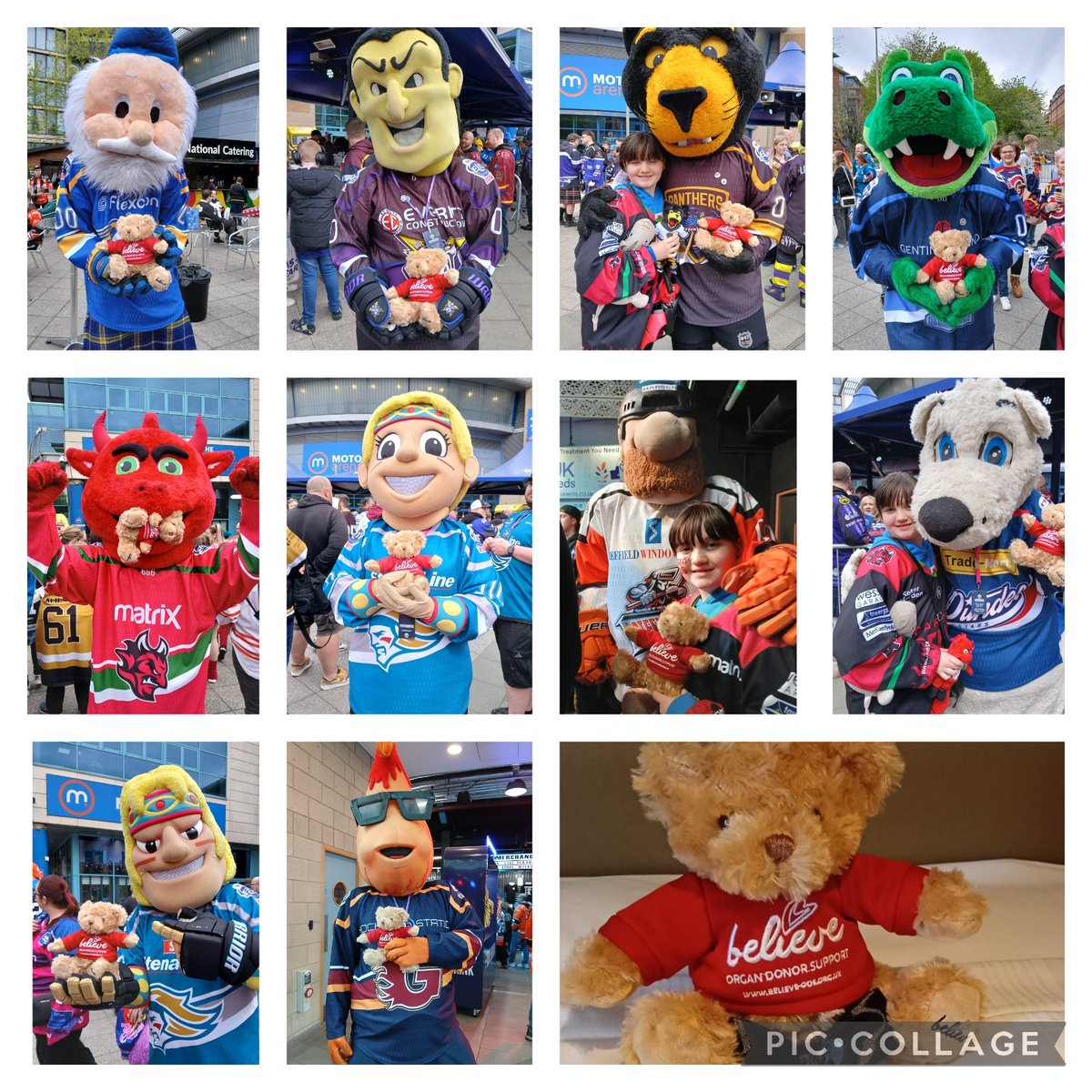 Sarah (@sarah_a_ml) on Twitter photo Yesterday <a href="/believe_ods/">Believe Organ Donor Support</a> Fraser Bear had his pic with all (bar Clangus) the mascots at #POFW25 and <a href="/cardiffdevils/">Cardiff Devils</a> made it to the final. <a href="/Tacosteve10/">Steve King</a> <a href="/mymets86/">craig shostak</a> <a href="/brian_bparker/">Brian Parker</a> hope you've got your Fraser Bears watching today-think he's our lucky mascot!
#POFW25 #BelieveODS Yesterday <a href="/believe_ods/">Believe Organ Donor Support</a> Fraser Bear had his pic with all (bar Clangus) the mascots at #POFW25 and <a href="/cardiffdevils/">Cardiff Devils</a> made it to the final. <a href="/Tacosteve10/">Steve King</a> <a href="/mymets86/">craig shostak</a> <a href="/brian_bparker/">Brian Parker</a> hope you've got your Fraser Bears watching today-think he's our lucky mascot!
#POFW25 #BelieveODS