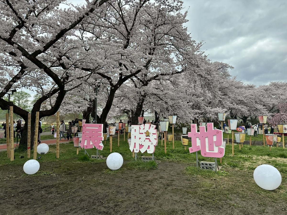 hibarin_078's tweet photo. 北上展勝地はなかなか綺麗に咲いてた。晴れてたらもっとよかったのに、最後は一瞬本降りみたいになったけど直撃はせずラッキー✌️ https://t.co/UnaDuQ4yVK