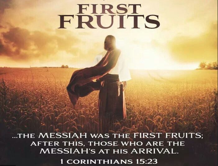 PensivePoet97's tweet image. Happy Sunday/First Fruits😁🍇

youtu.be/E0pYCnF69Rc?si…

May we offer our best to the Father each day as He offered His best, Yeshua (Jesus) to be raised up so that we that are in Him may do the same🙏🏾 
#FirstFruits #HeIsRisen