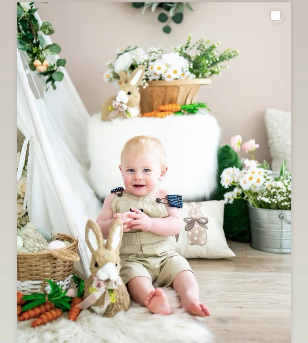 Julie Shepherd tweet media