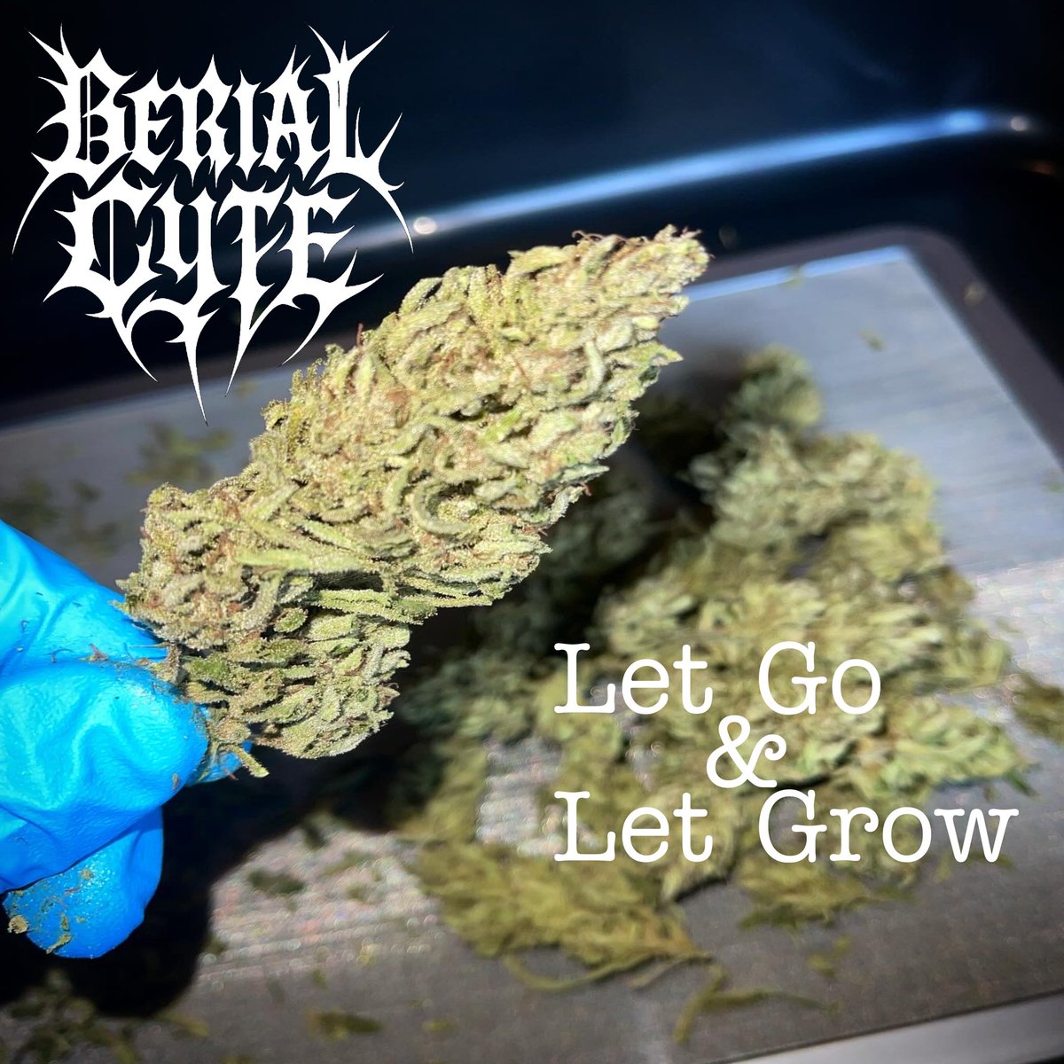 berialcyte's tweet photo. Merry Kushmas! Especially to you home growers, this one is for you. “Let Go &amp; Let Grow” available for streaming &amp; download now. Link in bio &amp; in thread.

#independent #hiphop #independentartist #independenthiphop #deathhop https://t.co/NMvK1moILX
