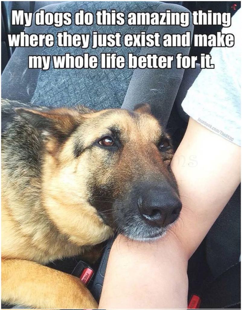 Papa Woof und Krampus und Bleaken (@woofknight) on Twitter photo 