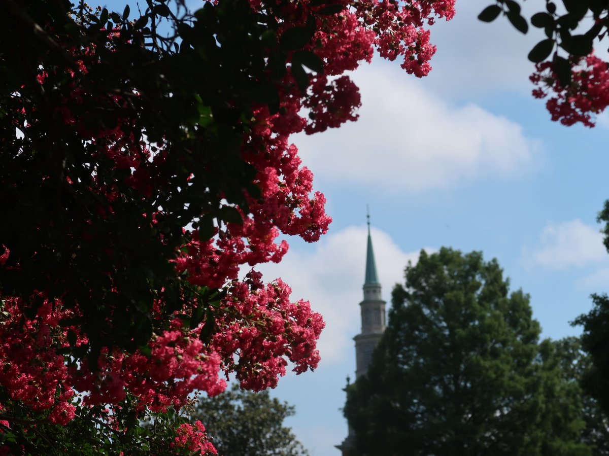 "When I saw him, I fell at his feet as though dead. But he laid his right hand on me, saying, 'Fear not, I am the first and the last, and the living one. I died, and behold I am alive forevermore, and I have the keys of Death and Hades.'"
— Revelation 1:17-18 (ESV)