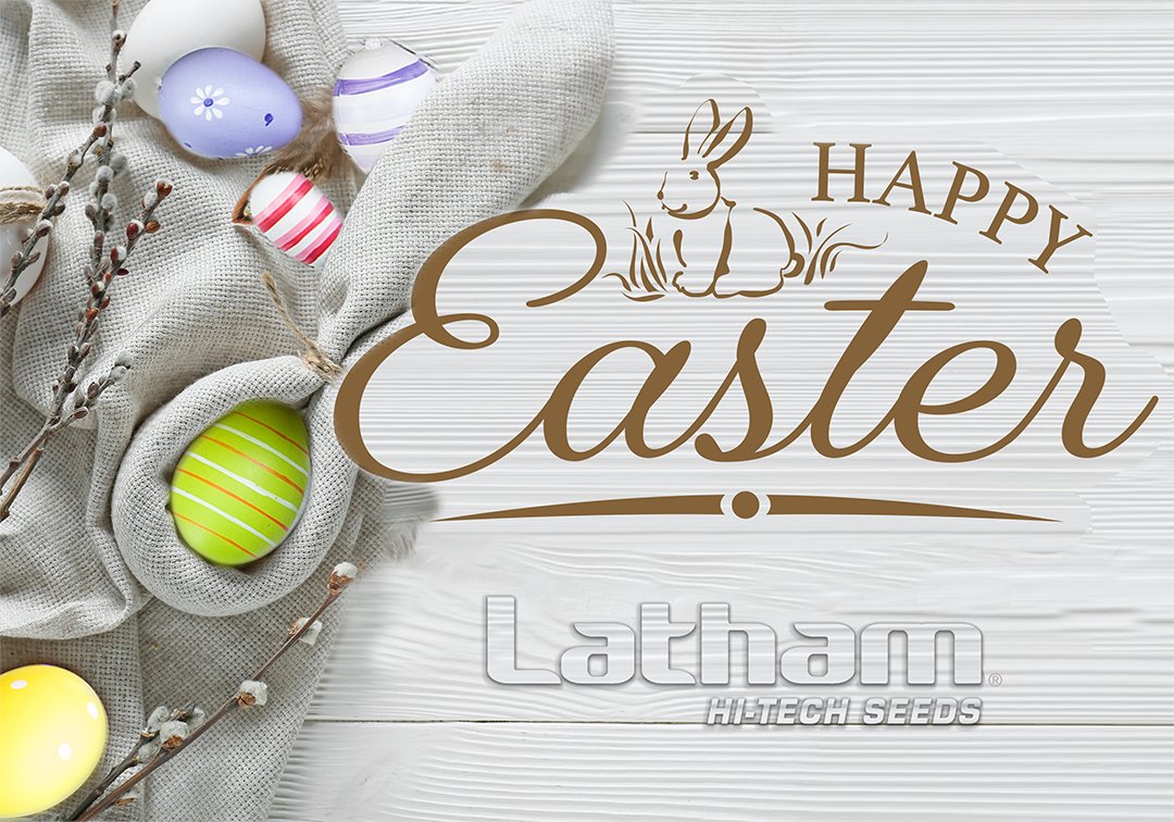 LathamSeeds's tweet photo. 🌸🐣 He is Risen! Happy Easter from Latham Seeds 🐣🌸
On this joyful day of renewal and hope, we’re grateful for the blessings of faith, family and farming. Have a peaceful Easter filled with love, laughter and meaningful traditions.
#LathamSeeds #FamilyOwned #FarmProven https://t.co/KSiddzKZ0e