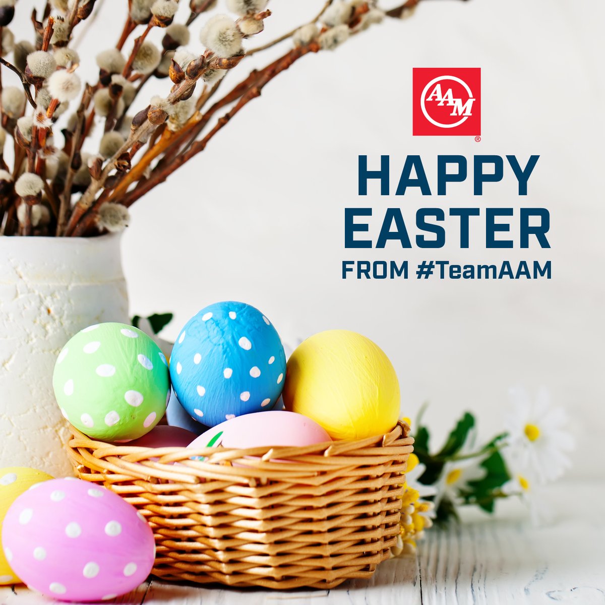 Happy Easter from #TeamAAM!