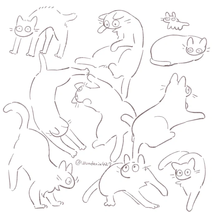 ねこ 