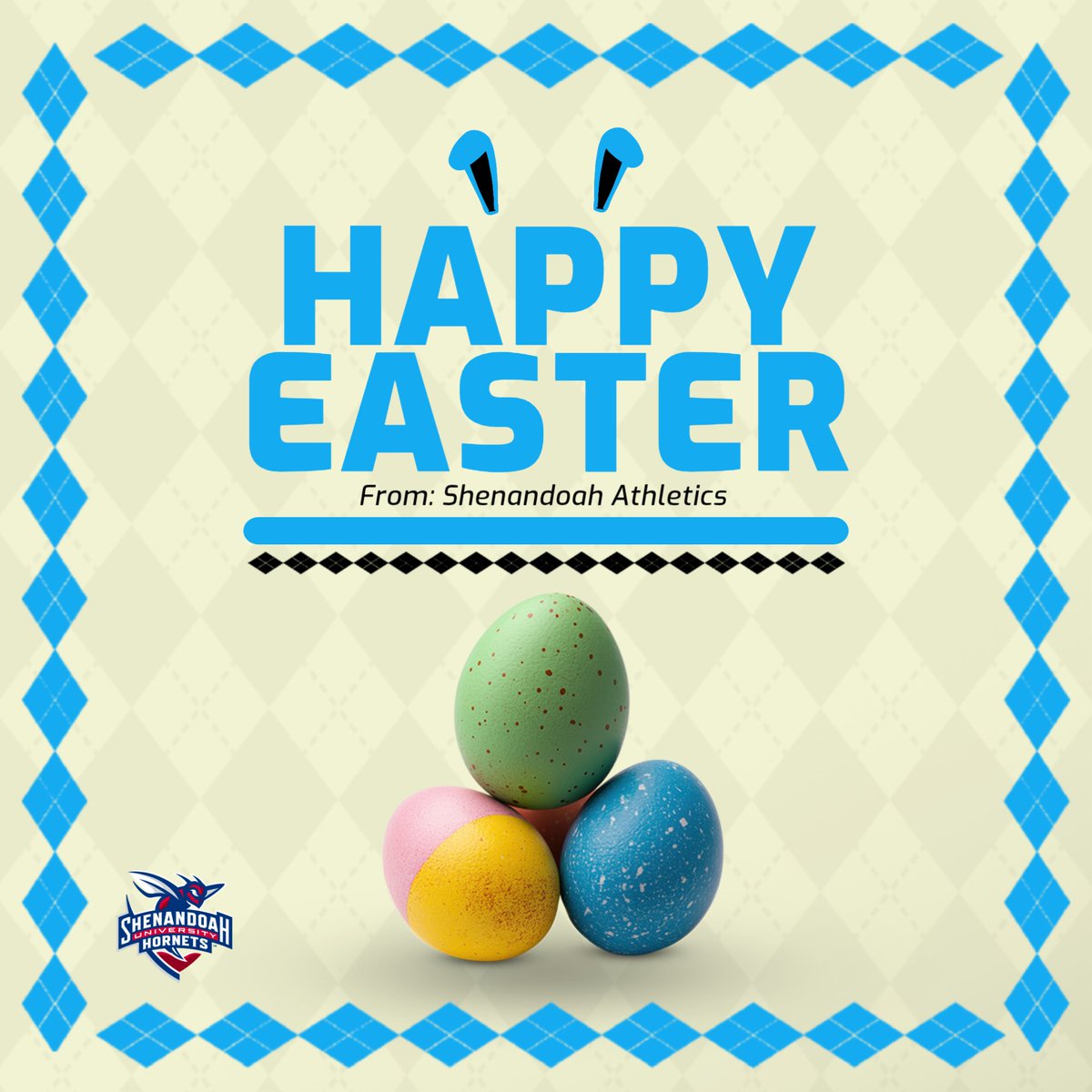 Happy Easter from all of us at Shenandoah Athletics!!

#GoSUHornets #happyeaster🐰