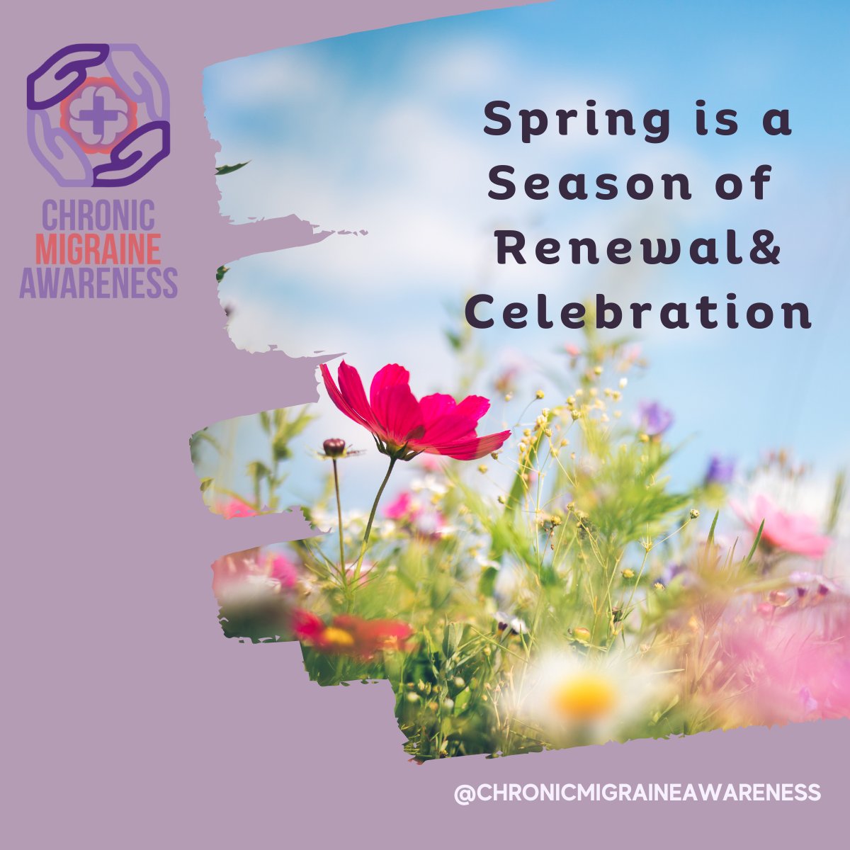 ChronicMigraineAware tweet media