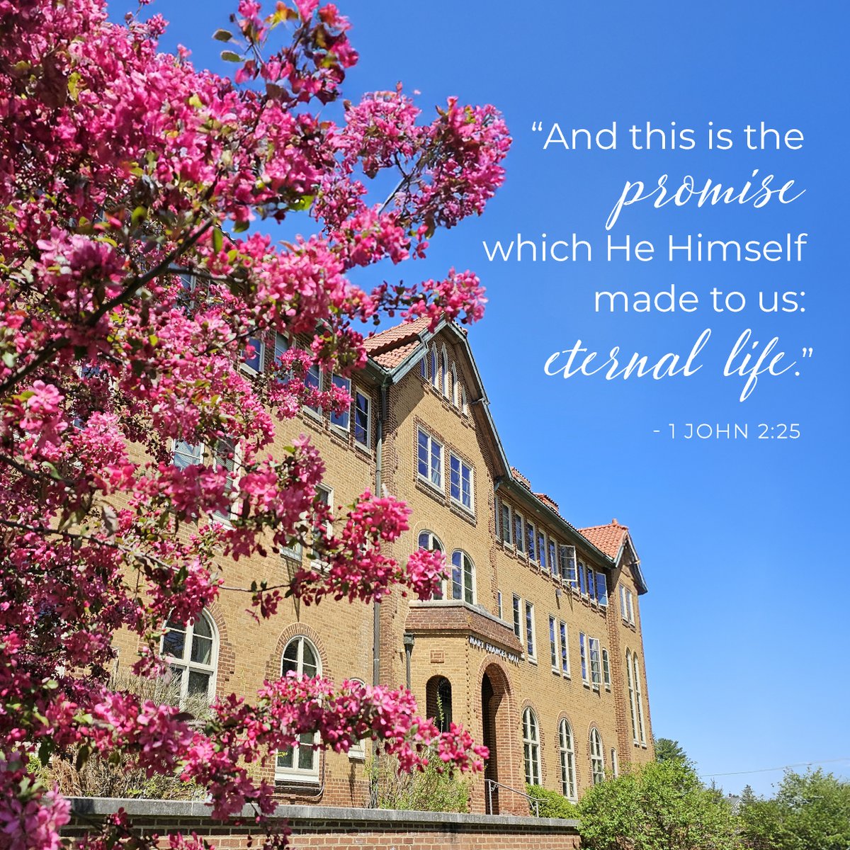 Rejoice in the risen Lord, our Savior.
May this Easter season bring you blessings of faith and the warmth of family. 

"And this is the promise which He Himself made to us: eternal life." 1 John 2:25