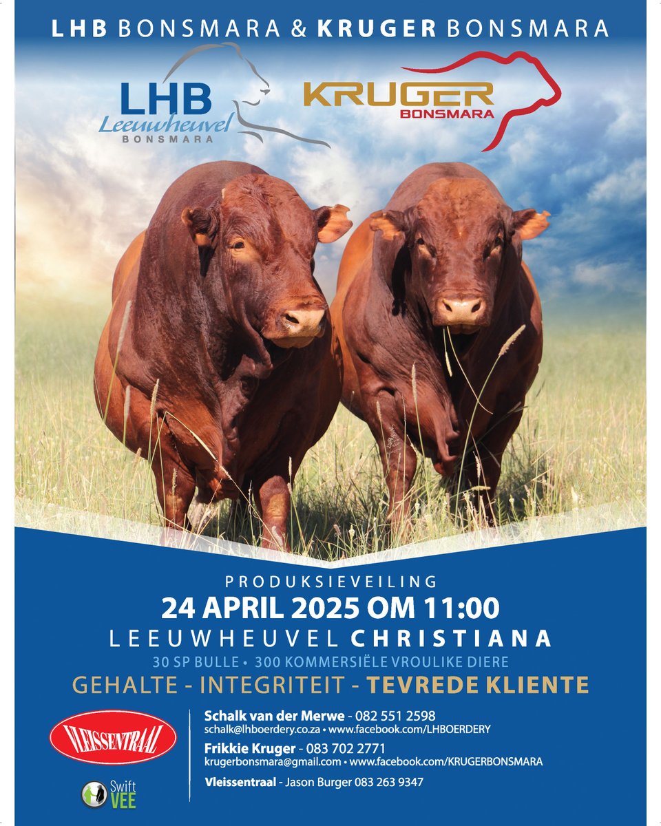 The LHB Bonsmara &amp; Kruger #Bonsmara production auction will take place on 24 April 2025 at Leeuwheuvel, Christiana at 11:00. 30 SP bulls &amp; 300 commercial females will be available. Contact Schalk van der Merwe on 082 551 2598/Frikkie Kruger at 083 702 2771 for more. <a href="/BonsmaraSA/">Bonsmara SA</a>