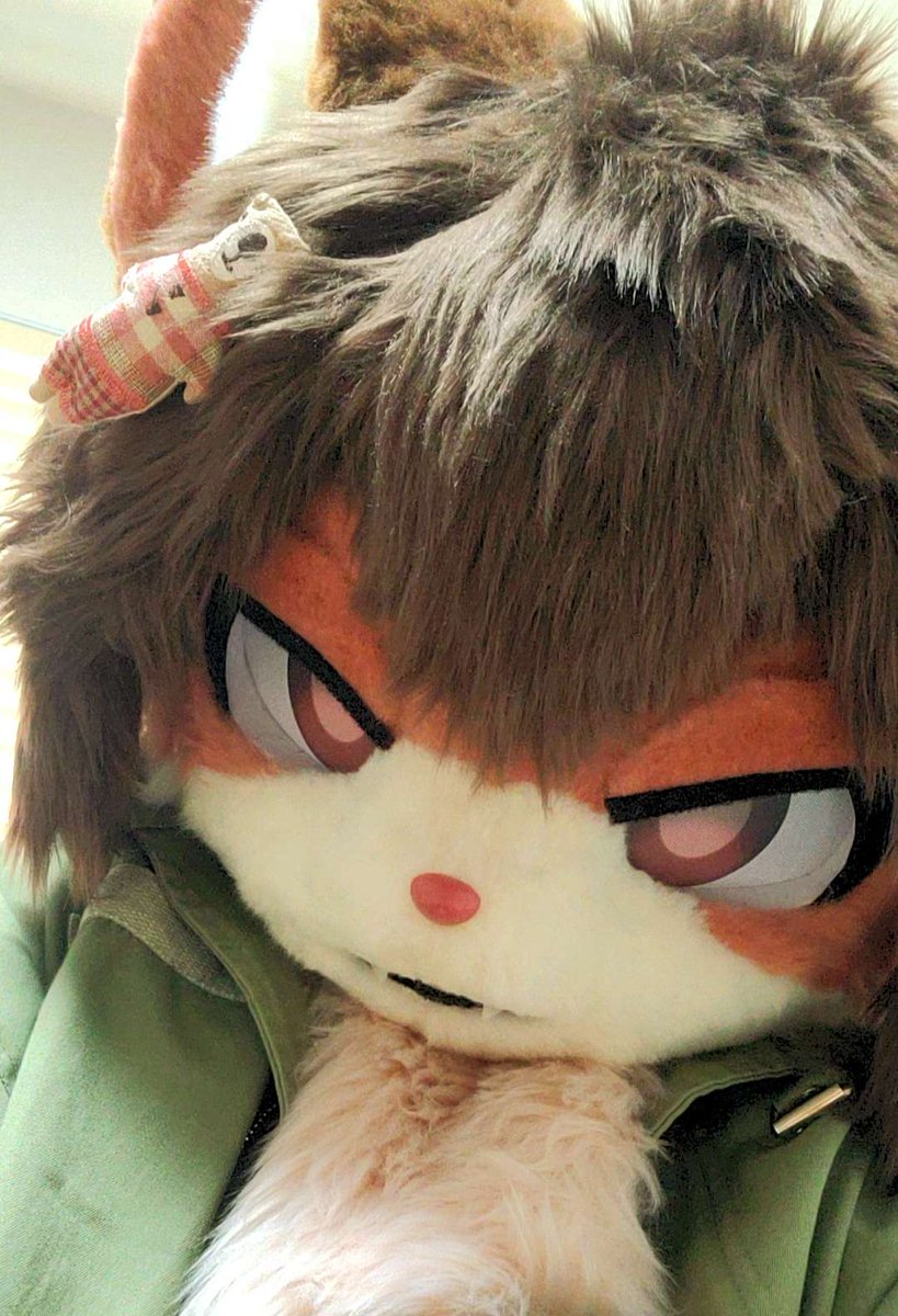 #FursuitEverday #fursuit

가진거 다내놔