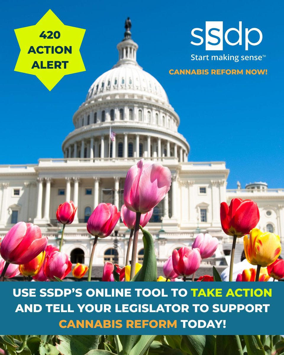 ssdpofficial's tweet image. This 4/20, TAKE ACTION and support CANNABIS REFORM! 📣 #SSDP needs your help - use our simple online tool to tell your legislator to support cannabis reform today! buff.ly/wYIhMyA