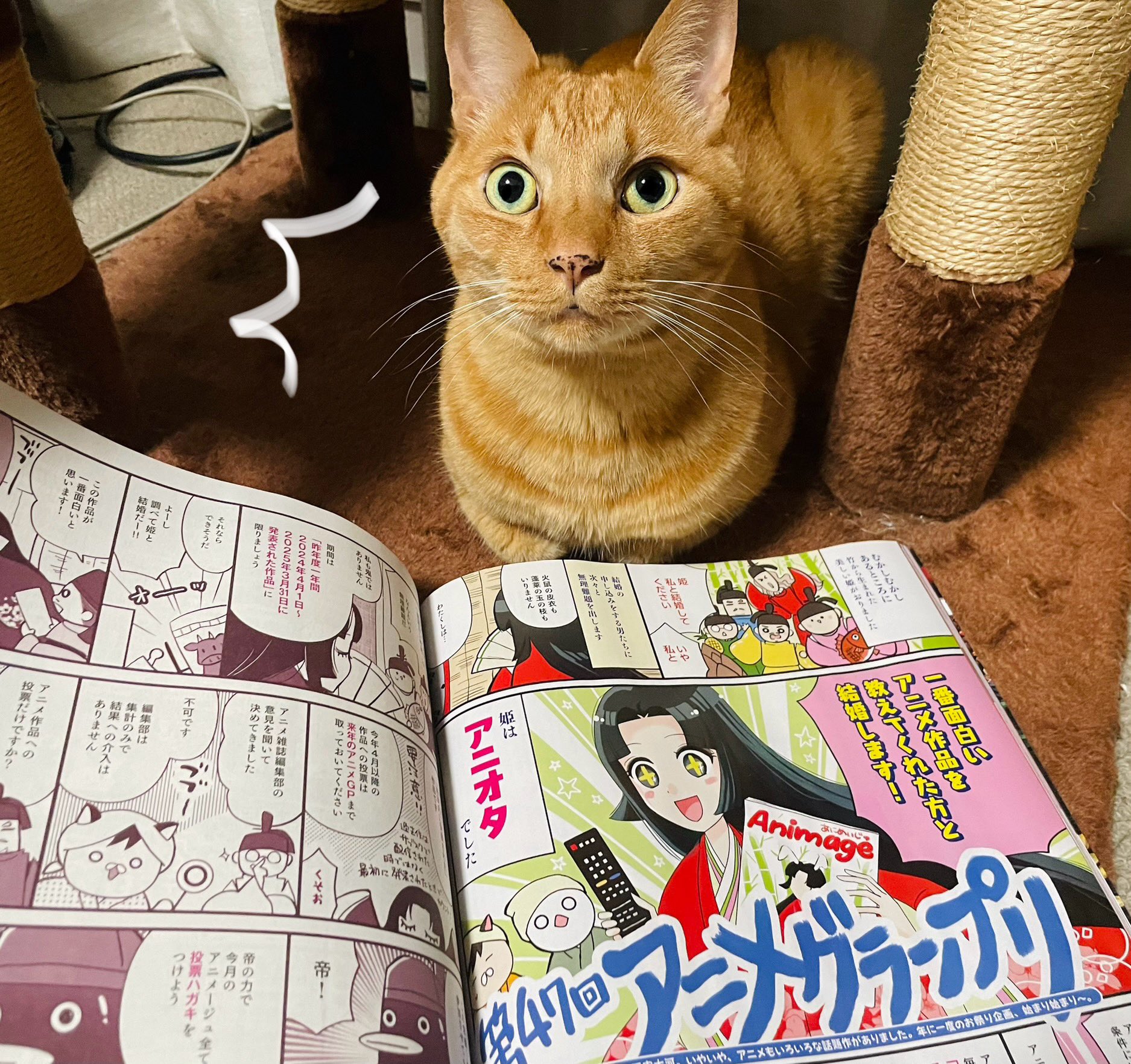 アニメージュ編集部 (@animage_tokuma) / X