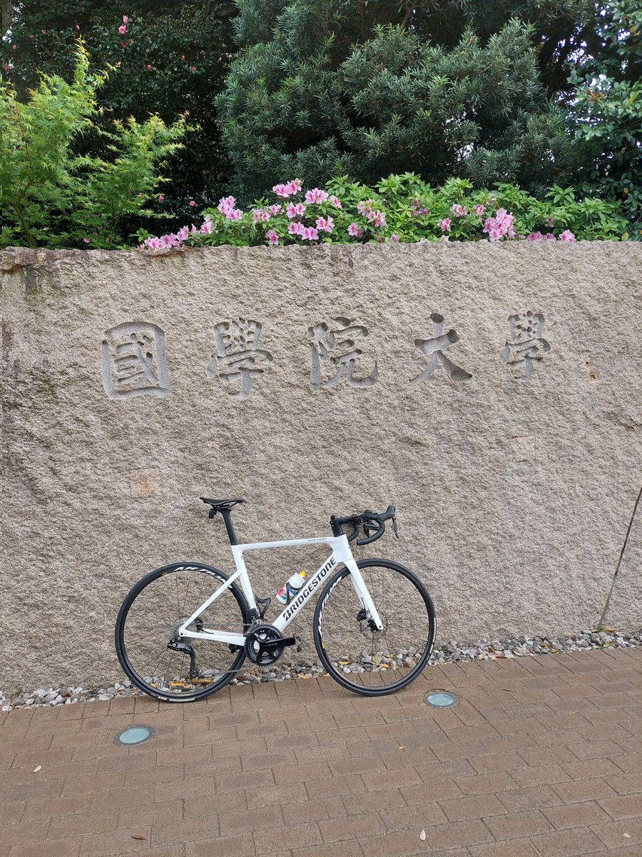 sho_falad_pro's tweet photo. 爆風の荒サイを下る
#BRIDGESTONECYCLE #anchorrp8 #BRIDGESTONE #ANCHOR #RP8 #ロードバイク最高 #ロードバイク https://t.co/OBdqrpFoPc