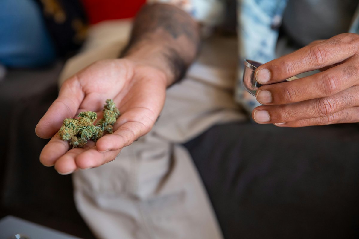 Top420org's tweet photo. Results! Top 10 Strains of Weed in The Netherlands! 
https://t.co/o7TK1grhK2 #weedstrains #happy420 #MemeCoinSeason https://t.co/9eCF8jvdOE