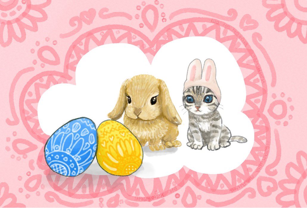 SunflowerMom(Chima)🧑‍🦰 (@sunflowerfromj2) on Twitter photo 