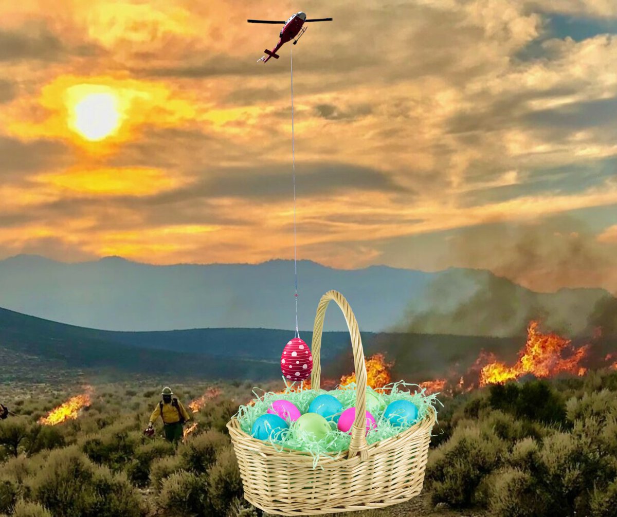 USFWS Fire (@usfwsfire) on Twitter photo #HappyEaster from your <a href="/USFWS/">U.S. Fish and Wildlife Service</a> wildland fire team!
#EggcellentWork #HappyEaster from your <a href="/USFWS/">U.S. Fish and Wildlife Service</a> wildland fire team!
#EggcellentWork