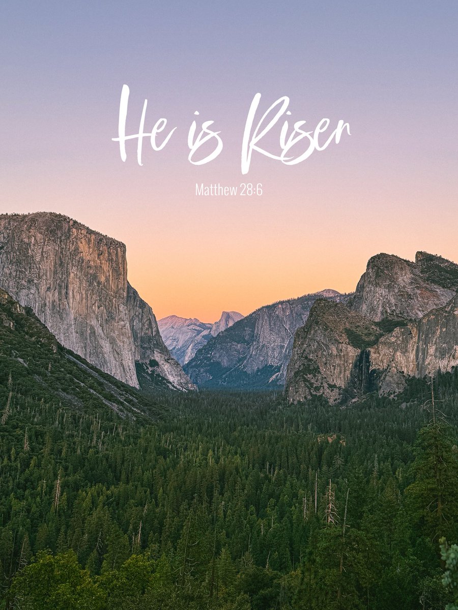 Mark Lee tweet media