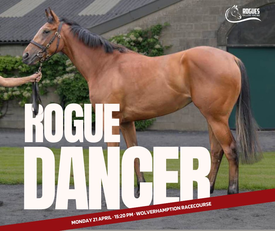 Roguesracing_'s tweet photo. The @JackJonesRacing-trained Rogue Dancer makes her seasonal debut on Monday at @WolvesRaces! 🐎
@Luke_Morris88 rides for @RoguesRacing and we are excited to see her back on track!
#RogueDancer #HorseRacing #3yoFilly #WolverhamptonRaces #RaceDay https://t.co/hMU7w649Pd
