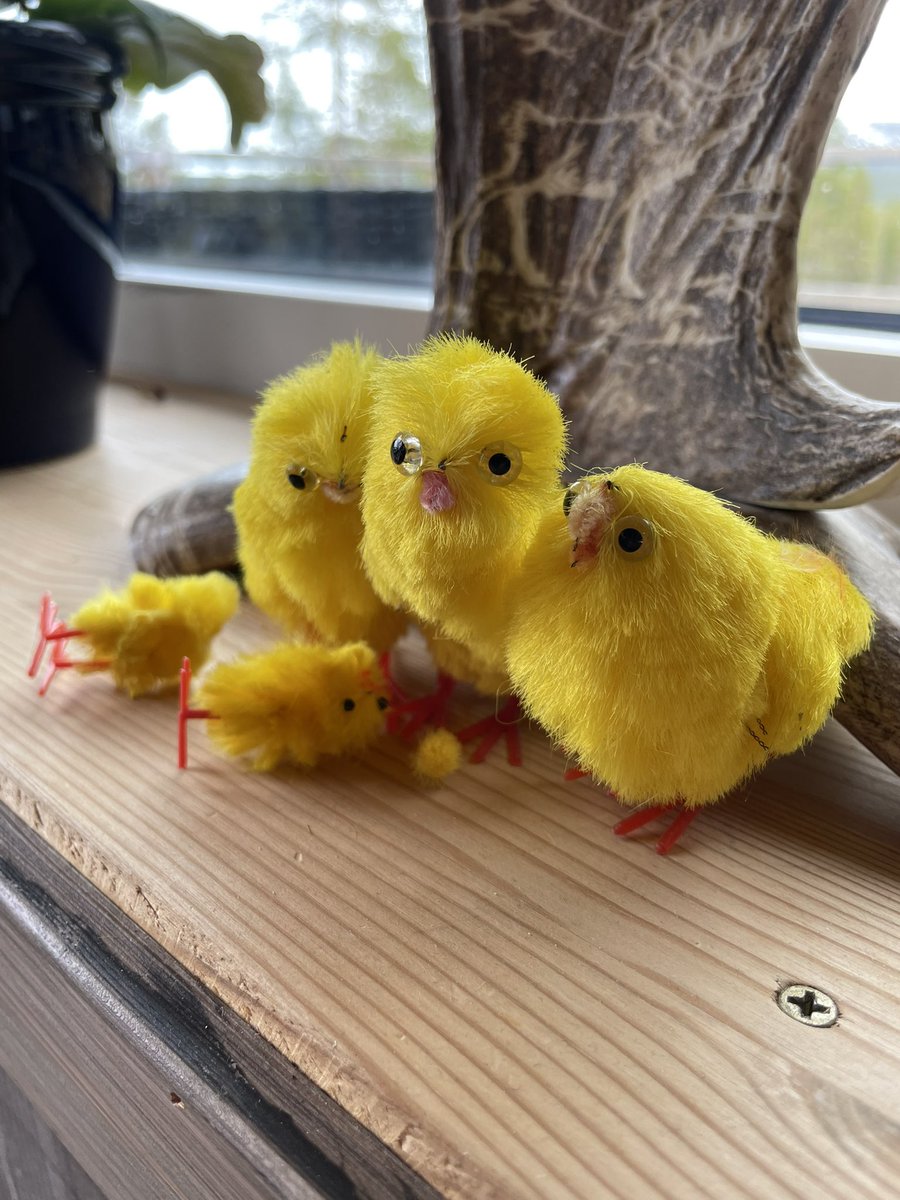 Simon Hägglund tweet media