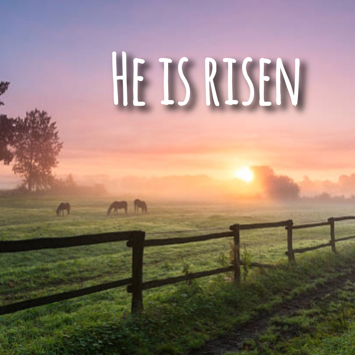 Fast Back Ropes tweet media