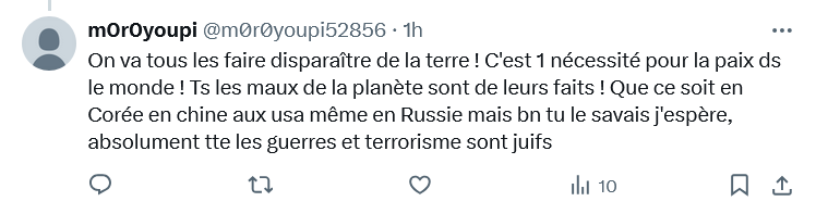 Petit Chat #Insoumis tweet media