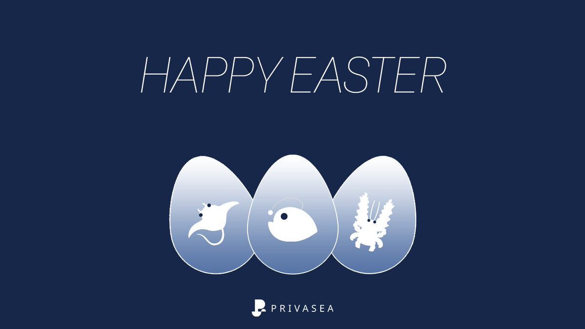 Privasea AI tweet media