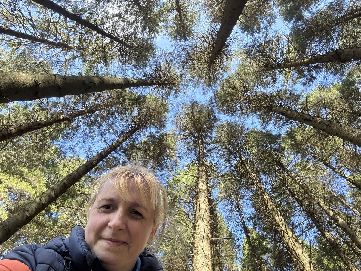 gvhawtin's tweet photo. Just wow 🤩 #Kielder #tentbox #outdoors #EasterSunday #sunshine #forest 🌲 🌲 🌲 #relax #walk #birds https://t.co/iiZTKiuwKL