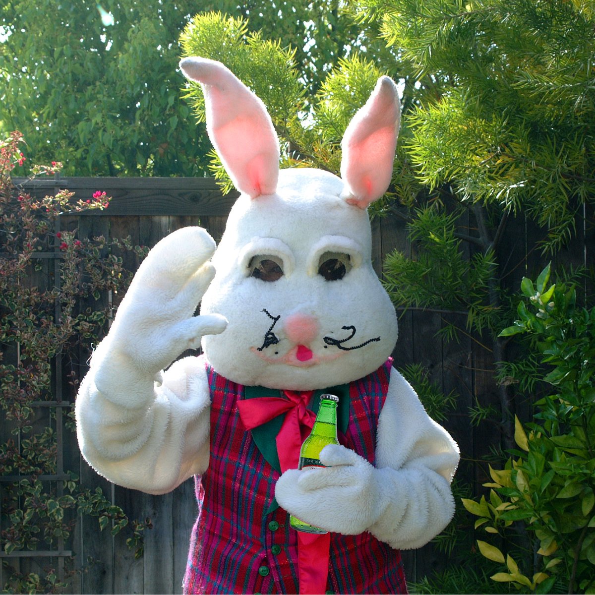 Assuming a really tired giant bunny somewhere could use an Ale-8 right about now. 🐰