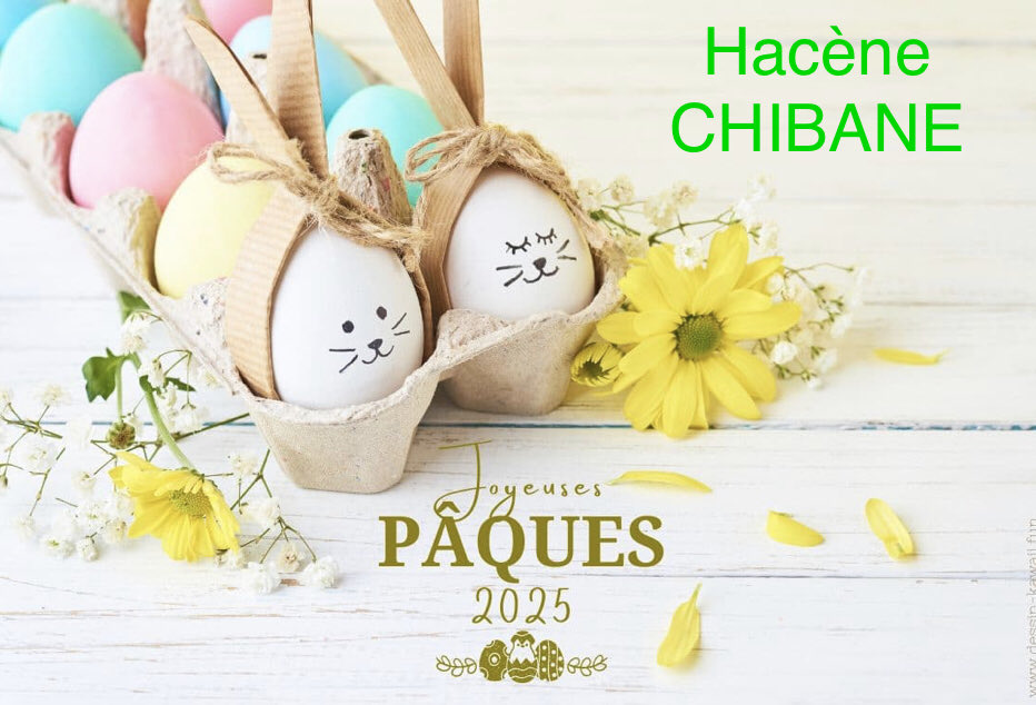 CHIBANE Hacène tweet media